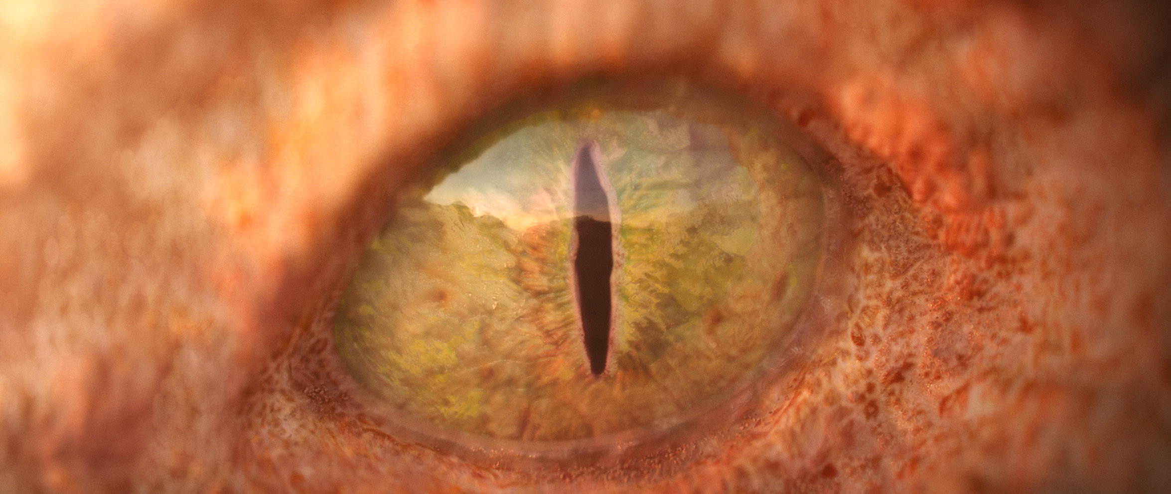 Crazy Juan - Image 1