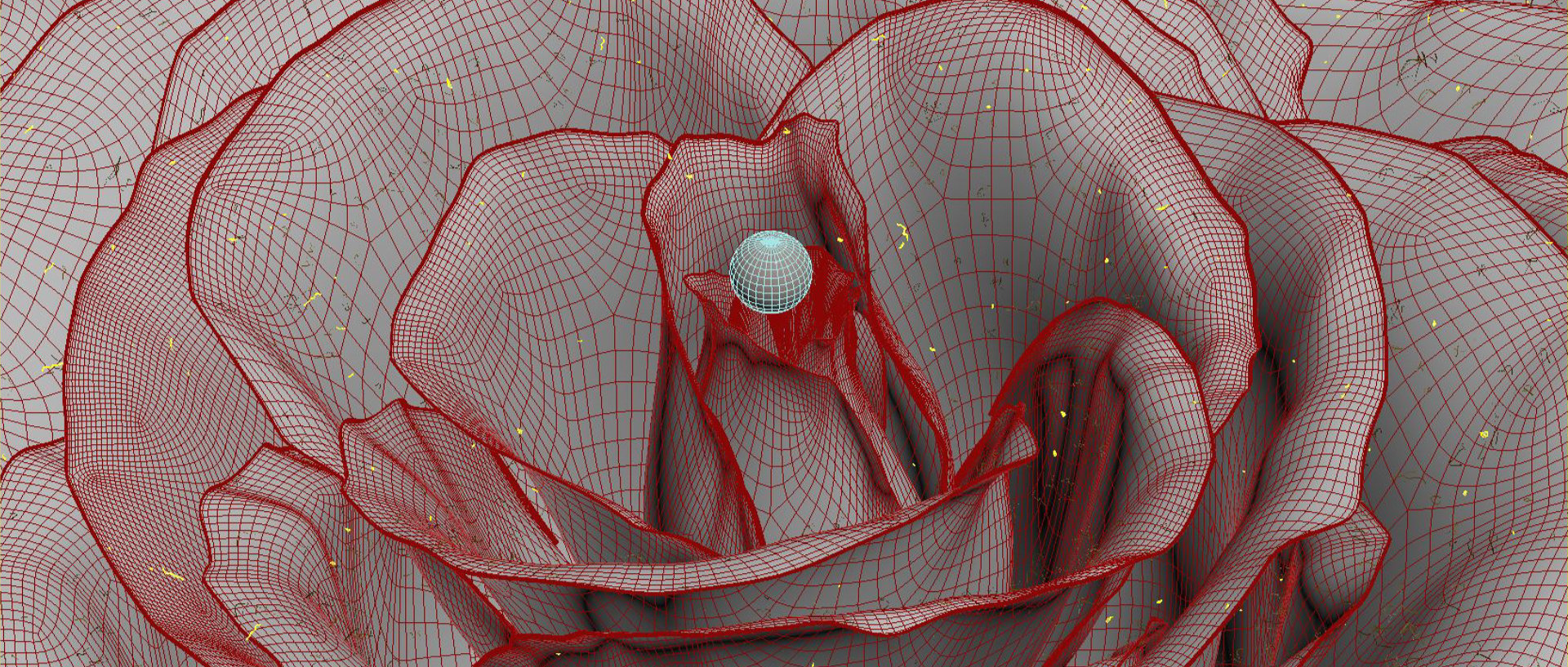 Rose / Pearl - Image 2